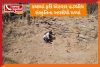 kutch lodranni new harappan civilization site discovered